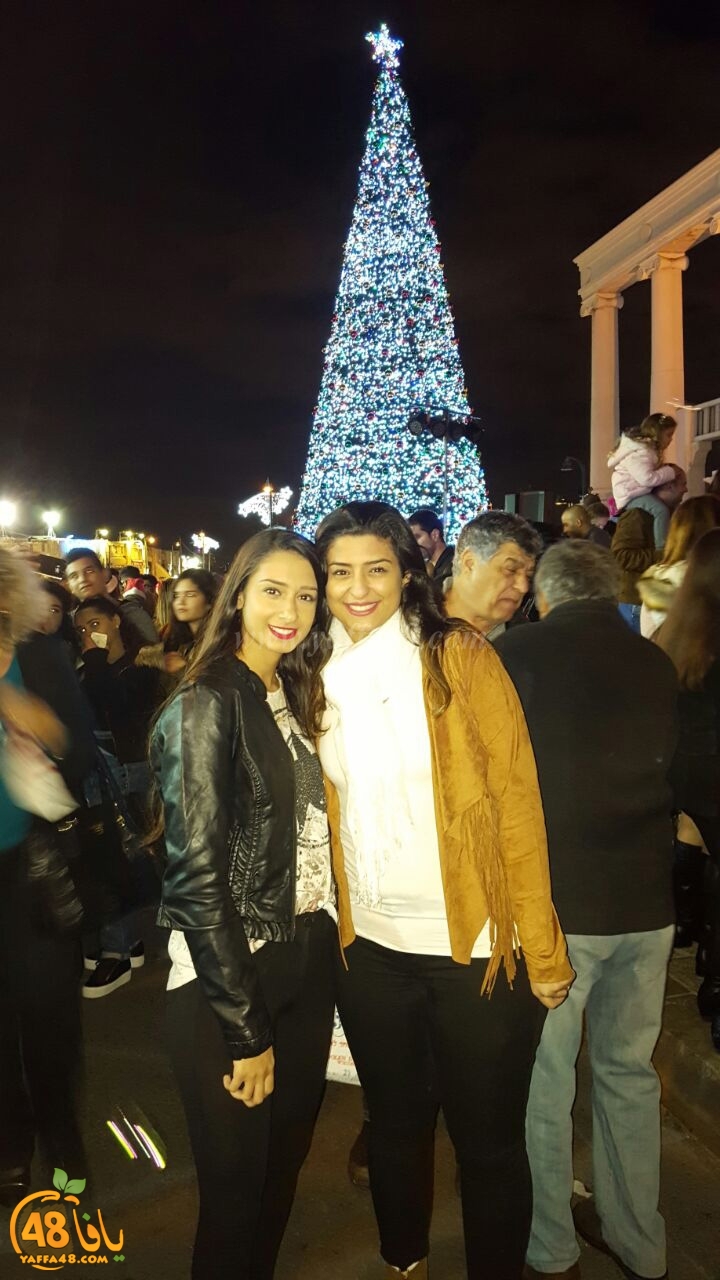 crismas tree1 (14).jpg